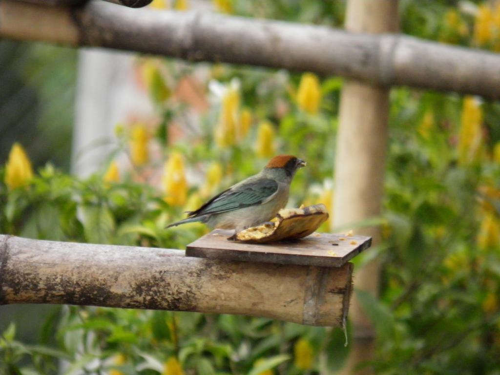 Finca Hotel La Rivera กาลาร์กา ภายนอก รูปภาพ