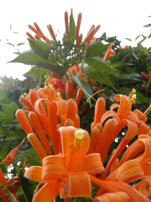 Finca Hotel La Rivera กาลาร์กา ภายนอก รูปภาพ