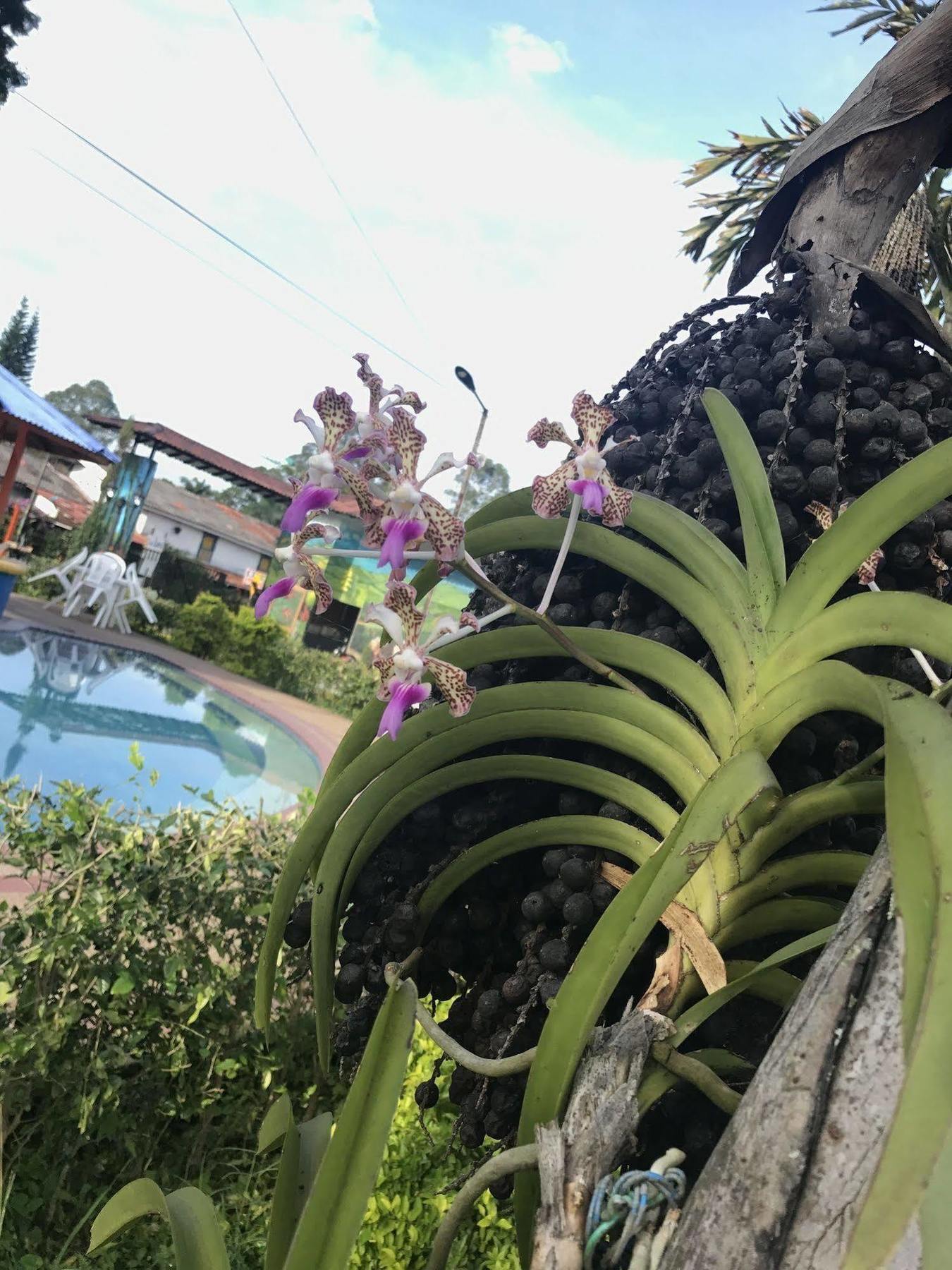 Finca Hotel La Rivera กาลาร์กา ภายนอก รูปภาพ